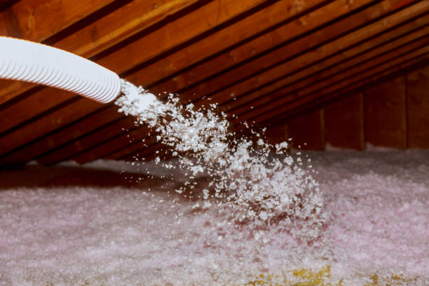 Best Insulation Contractor Near Me  in Monaca, PA