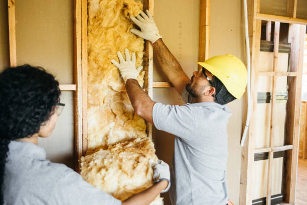Best Insulation Removal Services  in Monaca, PA